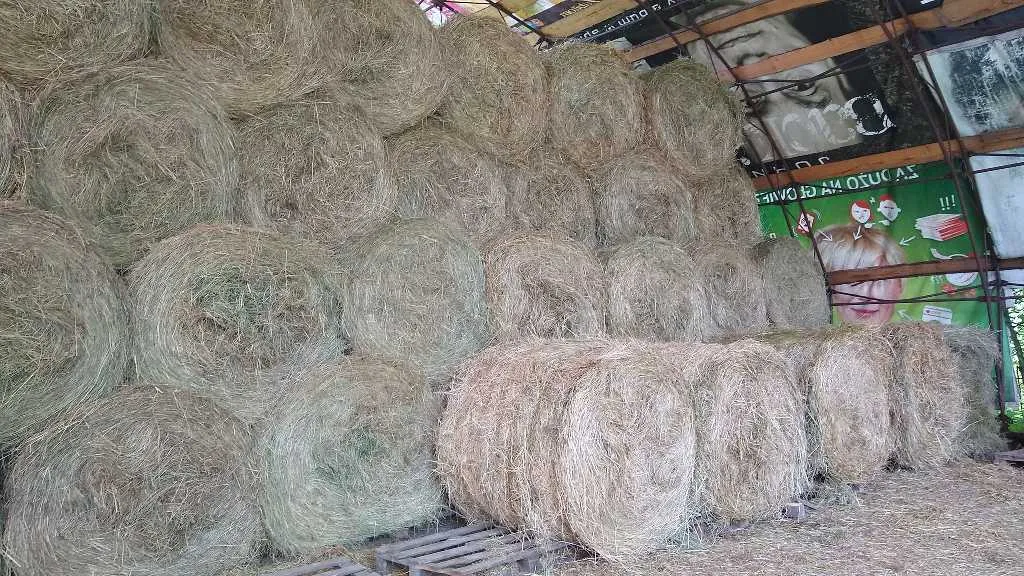 Sprzedam Siano I Sianokiszonkę